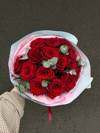 Bukiet 15 czerwonych róż Explorer (40cm)