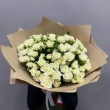 19 trandairi crenguta