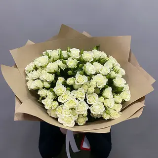 19 trandairi crenguta
