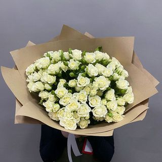 19 trandairi crenguta