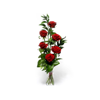 6 rose rosse