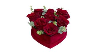 Box srce