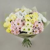 ფუმფულა ღრუბელი