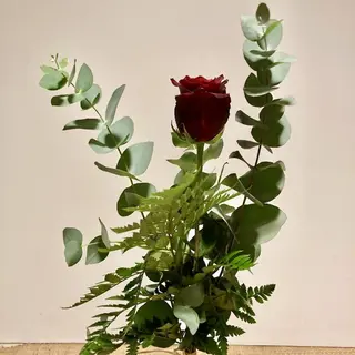 Una Rosa Roja