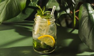 პიტნის და ლიმნის ლიმონათი