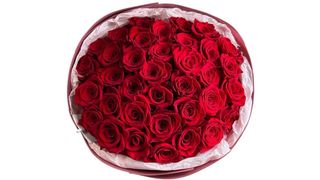 Bukiet Red Intensity