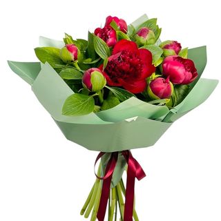 Buchet 9fire Bujori roșii-grena