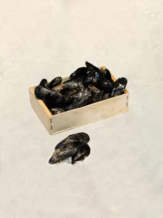 Mejillón Galicia (400 Gr.)