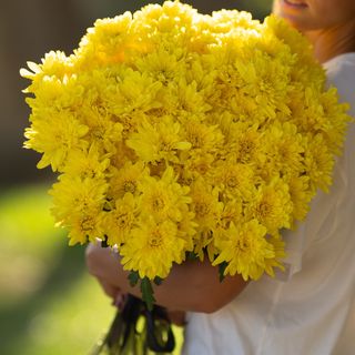 Ramo margarita 30 tallos