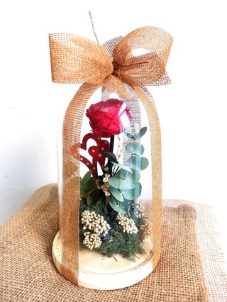 Cúpula "Love me Tender" de Rosa Roja Eterna