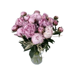 Bukiet piwonii 17 szt.