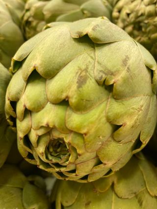 Alcachofa Prat Kg