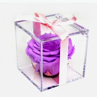 Rosa lila preservada en caja de metacrilato