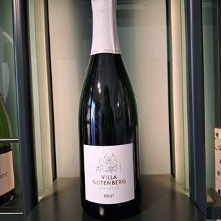 Rheingau - Villa Gutenberg