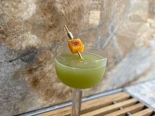 Actinidia Sour (110мл)