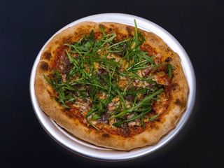 Піца Фермерська (502g)