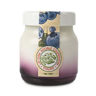 Yogurt mirtillo