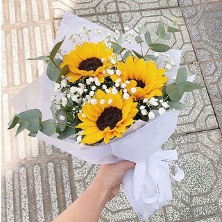 მზესუმზირები (3)