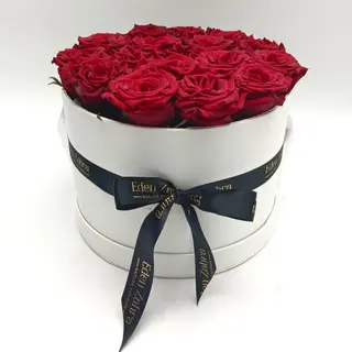 Flower Box Red XL WB