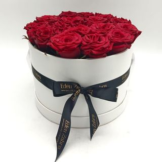 Flower Box Red XL WB