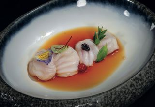 M13.Carpaccio capesante