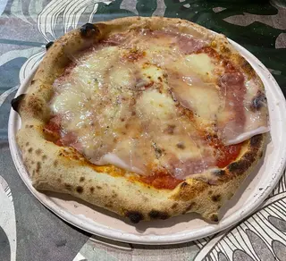 Saporita