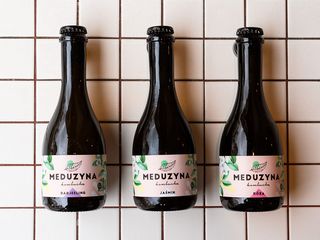 KOMBUCHA MEDUZYNA (330ml)