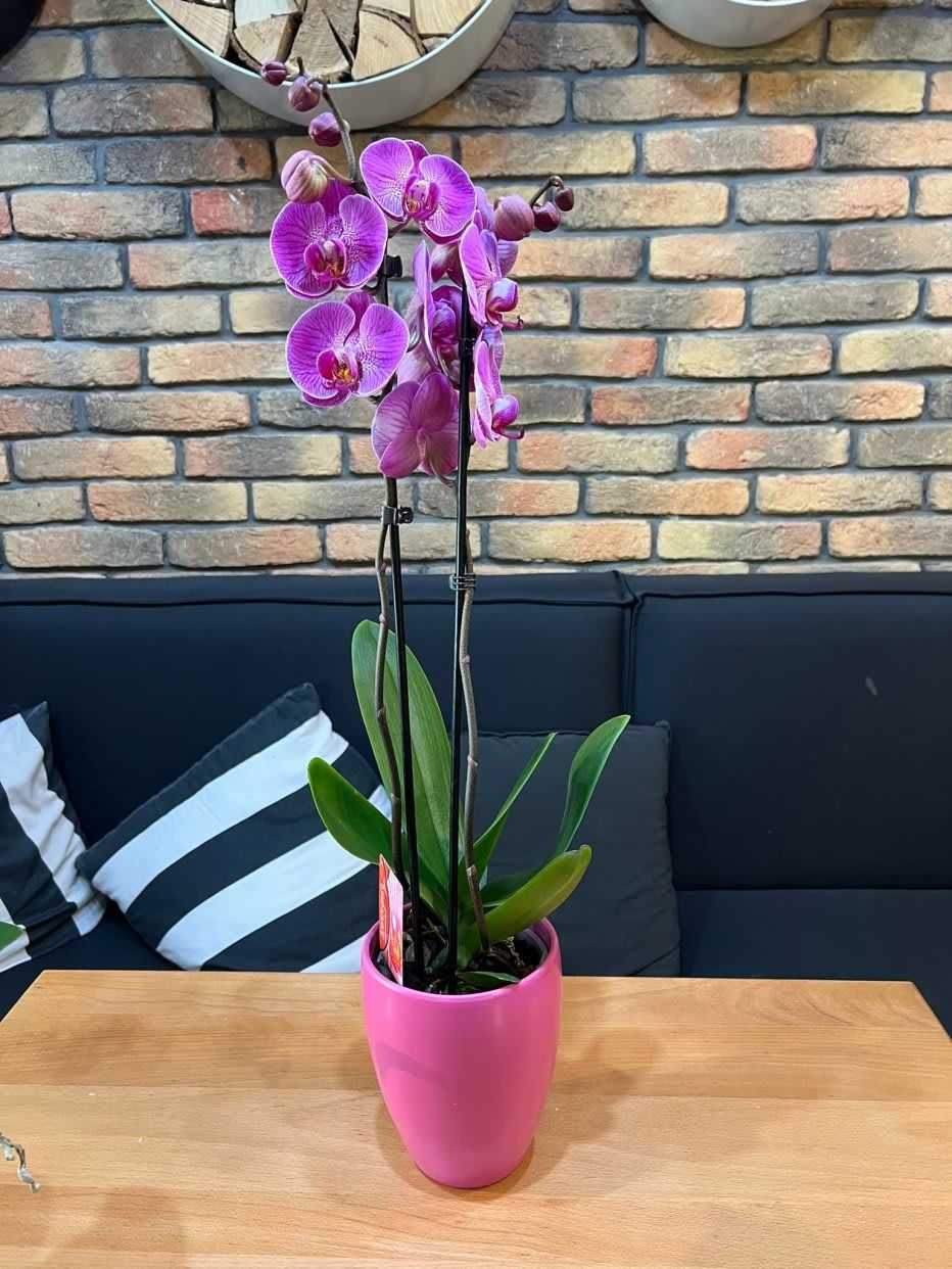 Za Vaš dom, kancelariju...