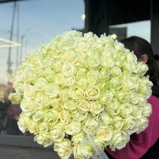 101 біла троянда 