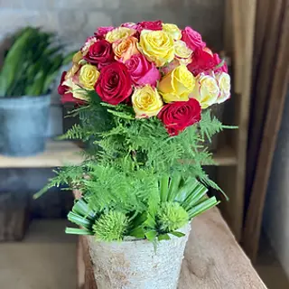 Potduparadis
