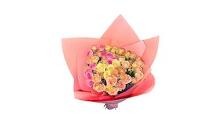 #23 სპრეი ვარდი