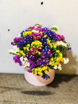 ლიმონიუმის ფერადი კოლოფი