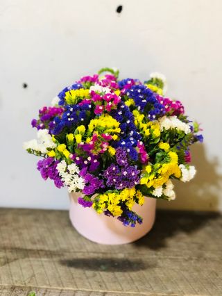 ლიმონიუმის ფერადი კოლოფი