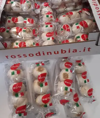 Aglio di Nubia (Trapani) 