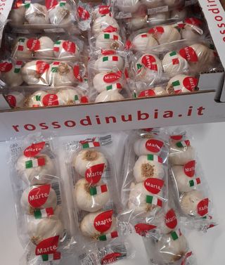 Aglio di Nubia (Trapani) 