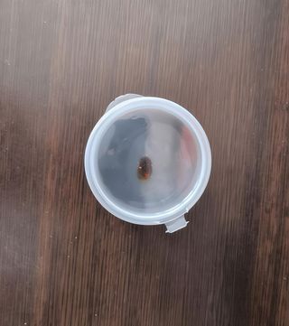 Salsa di soia senza glutine piccola