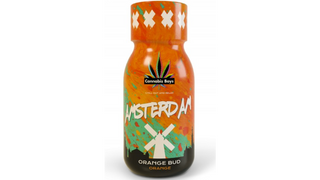 Cannabis Boys Amsterdam Orange Bud