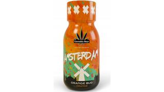 Cannabis Boys Amsterdam Orange Bud