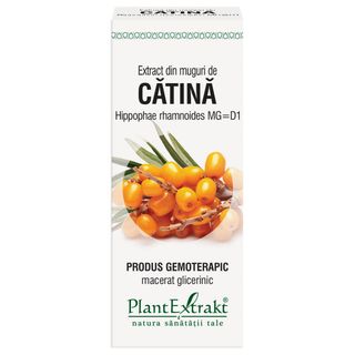 Extract din muguri de catina (HIPPOPHAE RHAMNOIDES)