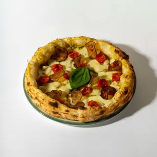 ORTOLANA 2.0
