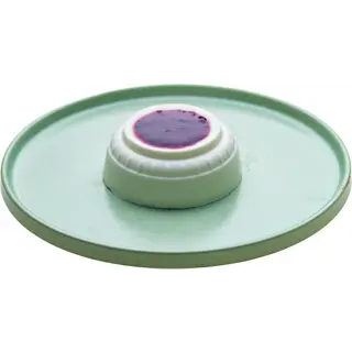 PANNA COTTA FRUITS ROUGES 