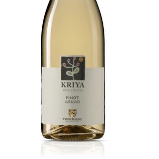 Vino Blanco Italiano 