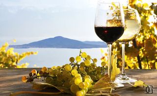 Vino Gragnano bianco