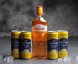 Pachet Gordon`s Mediteraneean Orange