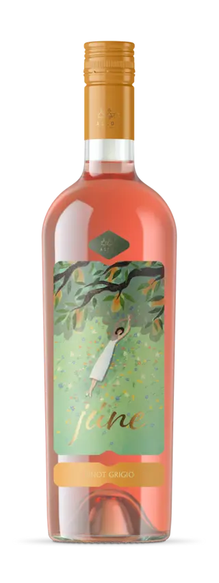 Asconi June Pinot Grigio