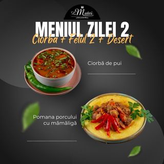 OFERTA MANCARE GATITA 2