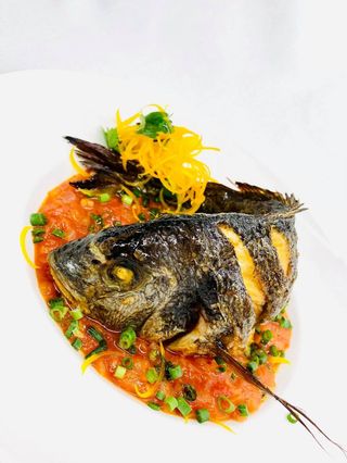Dorado with Tomato sauce