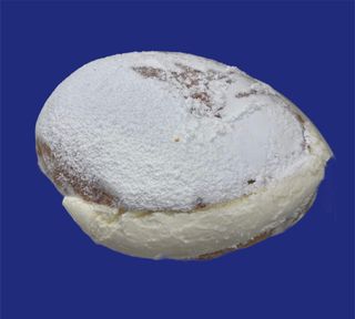 Maritozzo con Panna