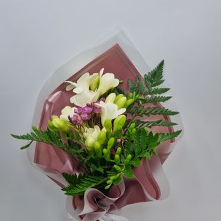 BUCHET 5 FREZII ALBE