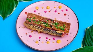 Inari Rolldog (Vegan)